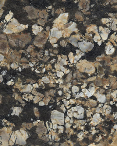 Coral Gold Granite Slabs Exporters