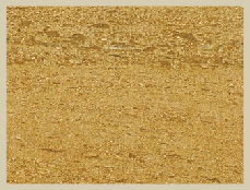 Ita Gold Sandstone