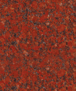 Ruby Red Granite Slabs Wholesalers