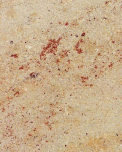 Siva Gold Granite Slabs Wholesalers